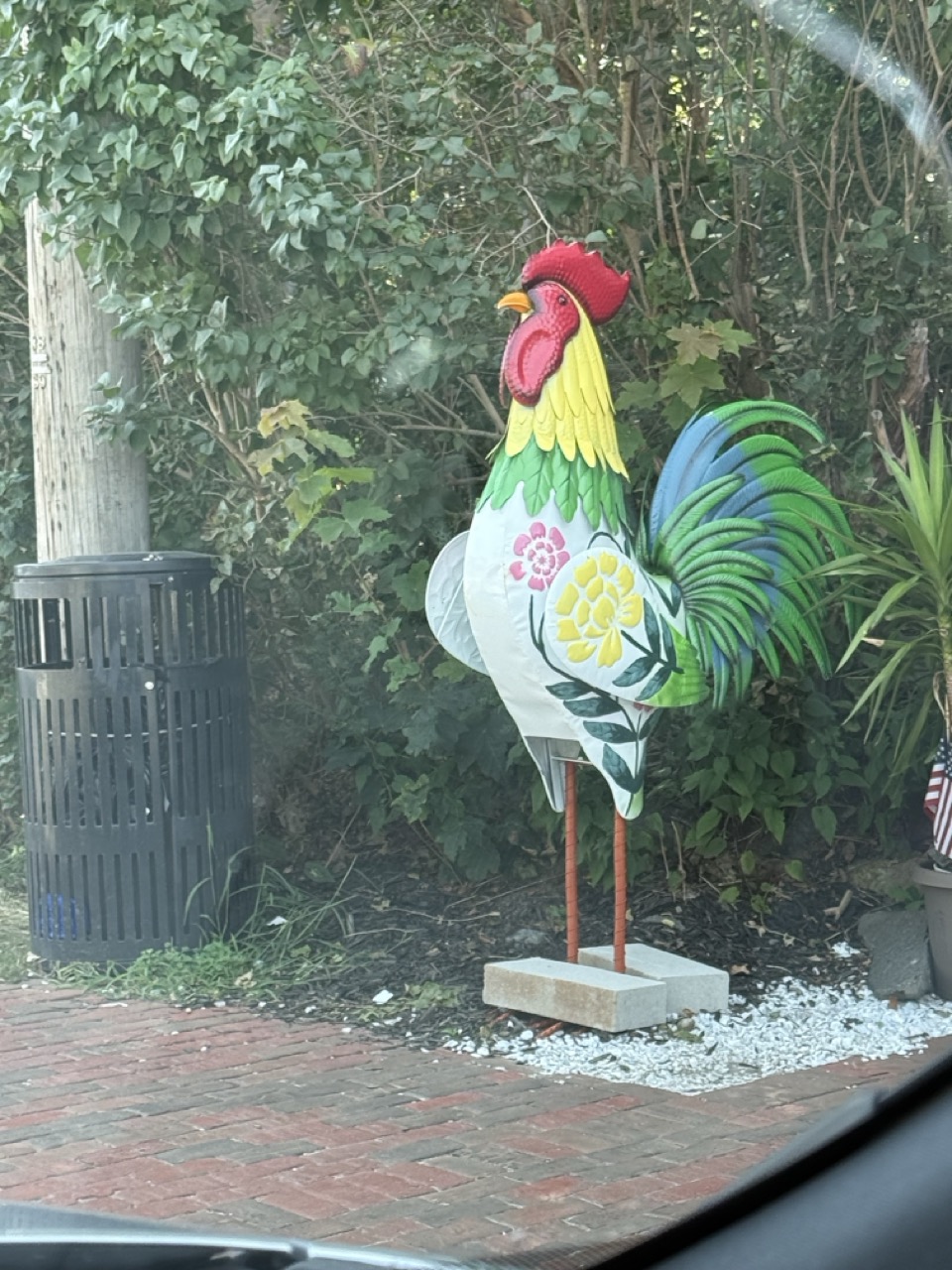 Spotted: Why Wells & Ogunquit Are Suddenly Full of Giant Rainbow Roosters