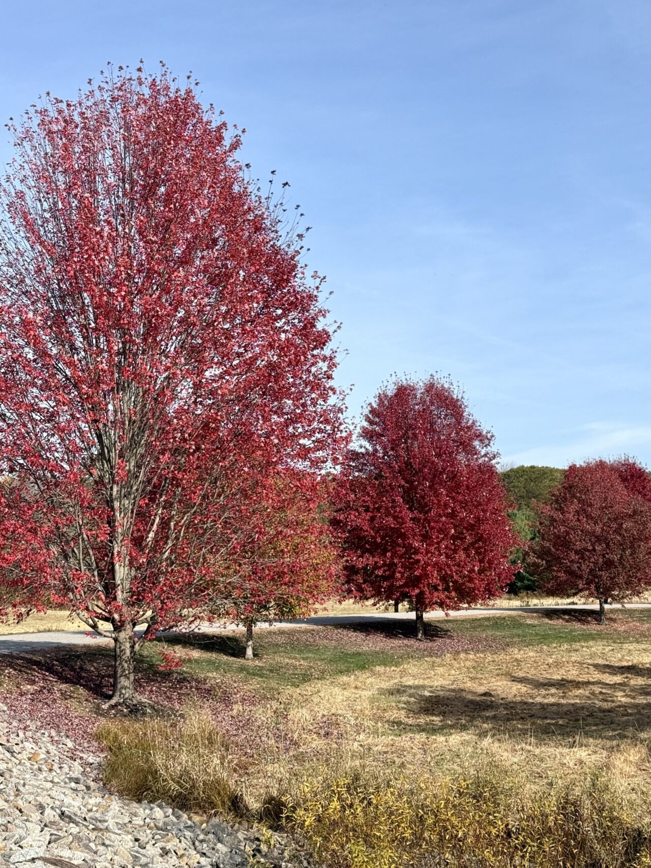 Fall Events in Kennebunk: Why September Through November Is the BEST Season